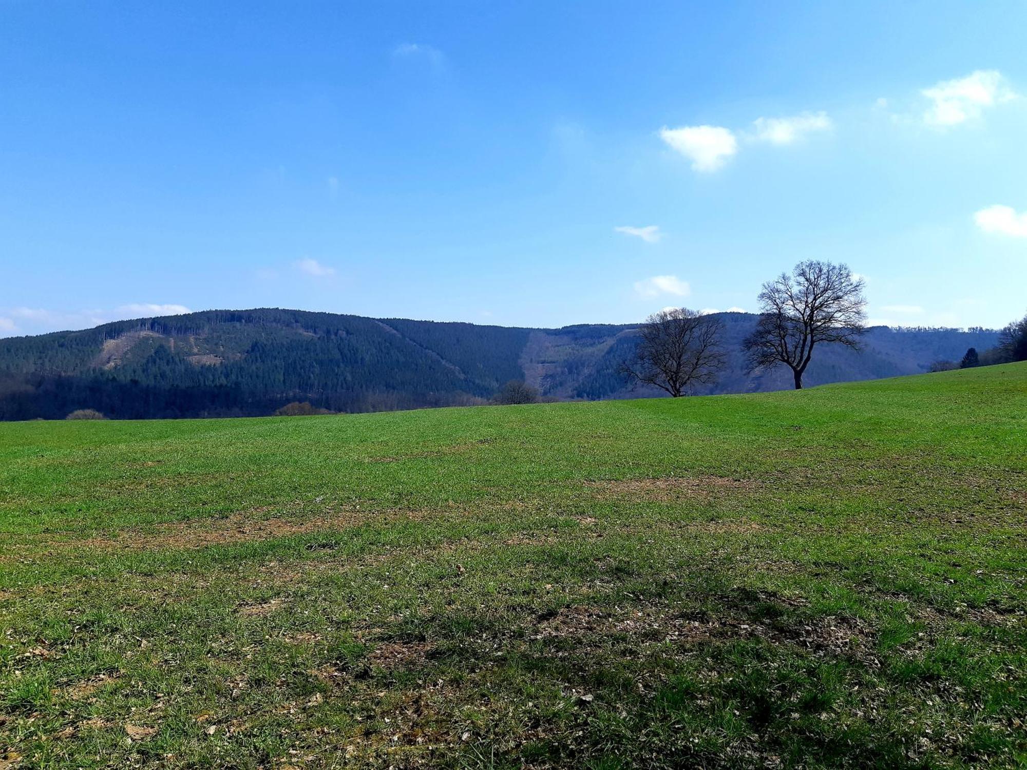 La Maison Des Senteurs Francorchamps Exteriér fotografie
